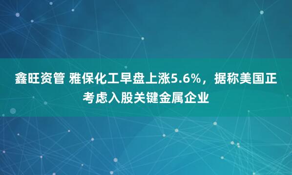 鑫旺资管 雅保化工早盘上涨5.6%，据称美国正考虑入股关键金属企业