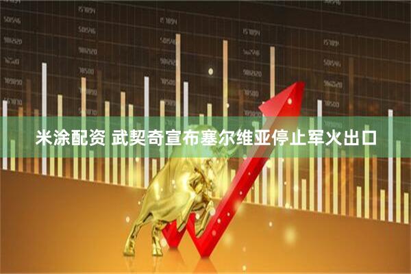 米涂配资 武契奇宣布塞尔维亚停止军火出口